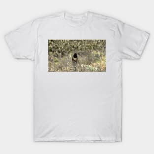 Channel Islands National Park Santa Cruz Island T-Shirt